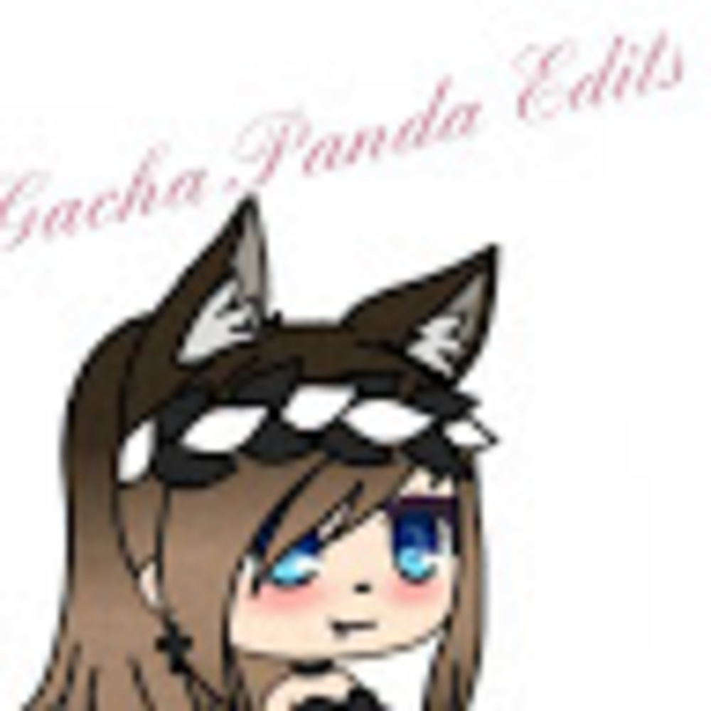 Meet your Posher, Panda chocolate